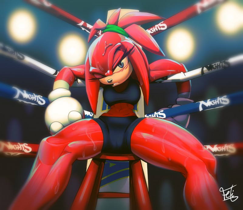 knuckles the echidna (sonic the hedgehog (series) and etc) created by feliscede