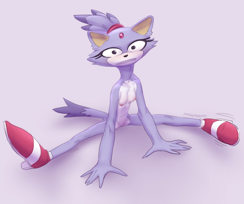 anthro breasts clothing female flexible footwear footwear_only fur looking_at_viewer mostly_nude nipples purple_body purple_fur shoes shoes_only solo splits spread_legs spreading wide_eyed maxmushroom sega sonic_the_hedgehog_(series) blaze_the_cat domestic_cat felid feline felis mammal 2022 absurd_res full-length_portrait hi_res portrait