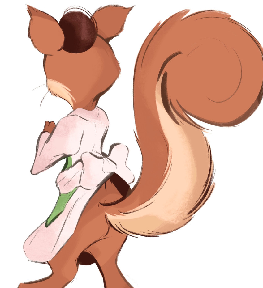 anthro bottomless brown_body brown_fur butt clothed clothing female fluffy fluffy_tail fur simple_background solo standing tail whiskers white_background conditional_dnp tohupo surisu_(tohupo) mammal rodent sciurid tree_squirrel 2020 hi_res