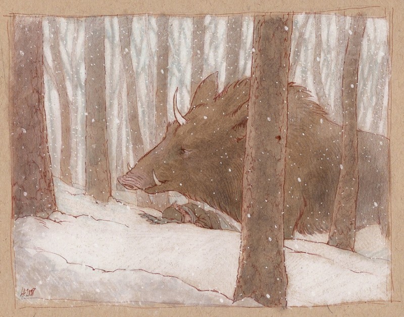 ambiguous_gender cold detailed_background duo feral forest outside plant rescue size_difference snow snowing tree wood louvelex canid canine mammal suid suina sus_(pig) wild_boar restricted_palette