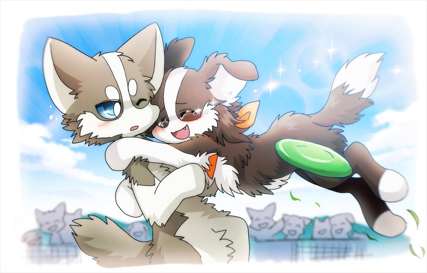 ambiguous_gender black_body black_fur blue_eyes blush bodily_fluids countershading duo eyes_closed feral frisbee fur grey_body grey_fur hug kemono kerchief one_eye_closed open_mouth outside semi-anthro smile tears white_body white_fur ayaka anna_(ayaka) shibeta border_collie canid canine canis collie domestic_dog herding_dog husky mammal nordic_sled_dog pastoral_dog sheepdog spitz digital_media_(artwork) female_(lore) male_(lore)