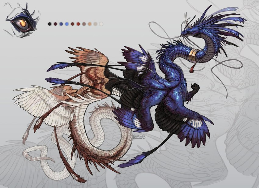 8_wings ambiguous_gender blue_body blue_feathers blue_wings collar collar_only countershade_neck countershade_tail countershading feathered_wings feathers feral grey_body long_tail multi_wing multicolored_body nude orange_body orange_wings scales snout solo tail two_tone_body whiskers white_body white_scales wings unravy mythology dragon mythological_creature mythological_scalie scalie 2023 absurd_res hi_res model_sheet