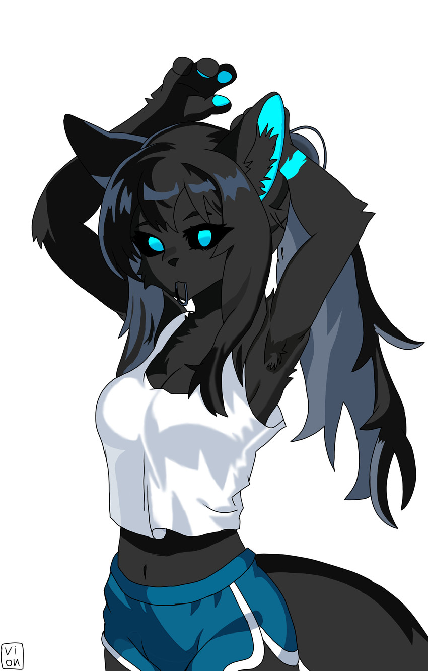 anthro armpit_tuft black_body black_fur black_sclera black_tail blue_eyes blue_inner_ear blue_pawpads breasts clothing dolphin_shorts female fluffy fluffy_tail fur hair hands_behind_head long_hair medium_breasts navel pawpads ponytail shirt solo tail tank_top topwear tying_hair white_clothing white_shirt white_tank_top white_topwear vion viona_alcyone_(vion) felid feline mammal absurd_res hi_res