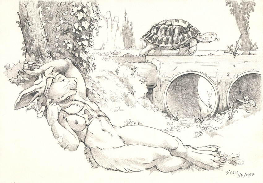 4_toes 5_fingers ambiguous_gender anthro breasts clothing day detailed_background duo feet female feral fingers navel nipples outside plant sleeping smile toes tree whiskers scale_(artist) aesop's_fables the_tortoise_and_the_hare hare lagomorph leporid mammal reptile scalie tortoise turtle 2020 graphite_(artwork) monochrome traditional_media_(artwork)