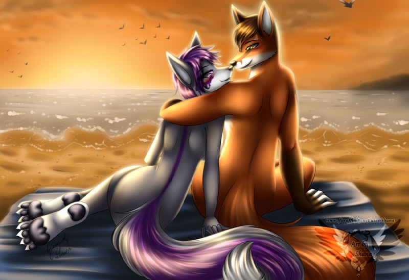 anthro arm_support beach bed_sheet bedding black_pawpads breasts brown_hair detailed_background duo eye_contact female fingerless_(marking) fur gloves_(marking) grey_body grey_fur hair hug looking_at_another love male male/female markings nose_to_nose nude on_towel orange_body orange_fur orange_sky outside pawpads paws pose purple_eyes purple_hair rear_view romantic romantic_ambiance romantic_couple sand sea seaside short_hair side_boob sitting sky striped_markings striped_tail stripes sunset tail tail_markings towel water yellow_eyes yokozuwari shana jess_(teckly) werefox_(character) canid canine canis fox mammal wolf digital_media_(artwork)