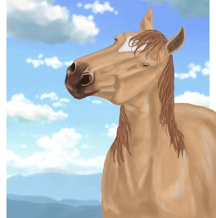 ambiguous_gender cloud facial_markings feral hair head_markings looking_at_viewer markings solo tan_body tan_hair midrate pearl_(wasen) equid equine horse mammal digital_media_(artwork) hi_res