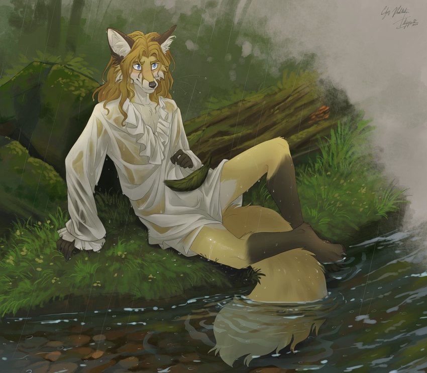 alternative_fashion anthro blonde_hair blue_eyes blush boulder bulge chemise clothed clothing collarbone convenient_censorship detailed_background erection erection_under_clothing fluffy fluffy_tail forest fur grass hair inner_ear_fluff j-fashion leaf long_hair long_tail male ouji_(fashion) outside pebble plant raindrop raining ripples river rock solo tail topwear touching_grass translucent translucent_clothing tree tuft victorian wet wet_clothing white_chemise white_inner_ear_fluff yellow_body yellow_fur tatujapa edgar_vladilisitsa canid canine fox mammal 2023 absurd_res hi_res signature