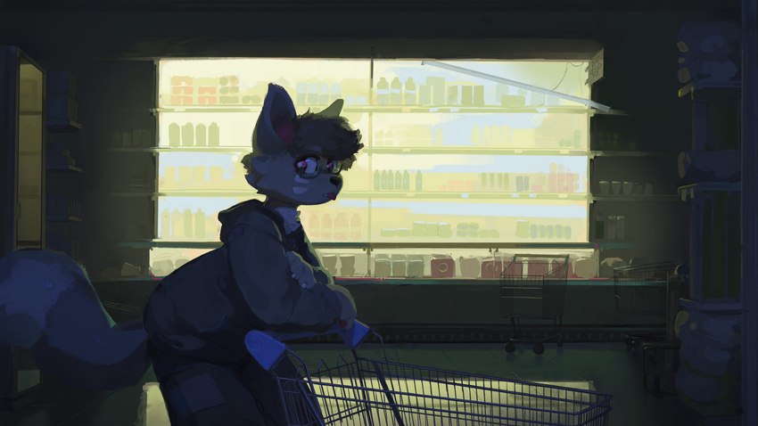 ambiguous_gender anthro black_nose blep bottomwear claws clothed clothing detailed_background eyewear fluffy fluffy_tail fur furgonomics glasses grey_body grey_fur grey_hair hair hoodie inner_ear_fluff inside leaning leaning_forward light looking_aside mall pants pawpads pink_eyes pupils purple_eyes reflection reflective_floor shopping shopping_cart side_view solo supermarket sweater tail tongue tongue_out topwear tuft white_pupils nule canid canine mammal 16:9 2025 digital_media_(artwork) hi_res lighting widescreen