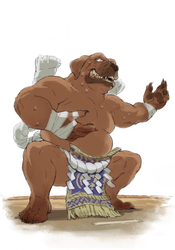 anthro asian_clothing bandage belly bodily_fluids bottomwear brown_body brown_fur clothed clothing east_asian_clothing feet fringe_bottomwear fringe_clothing fringe_trim fur humanoid_hands japanese_clothing male male_anthro mawashi sagari simple_background slightly_chubby slightly_chubby_anthro slightly_chubby_male solo sumo sweat topless white_background gku canid canine canis domestic_dog mammal 2017 hi_res