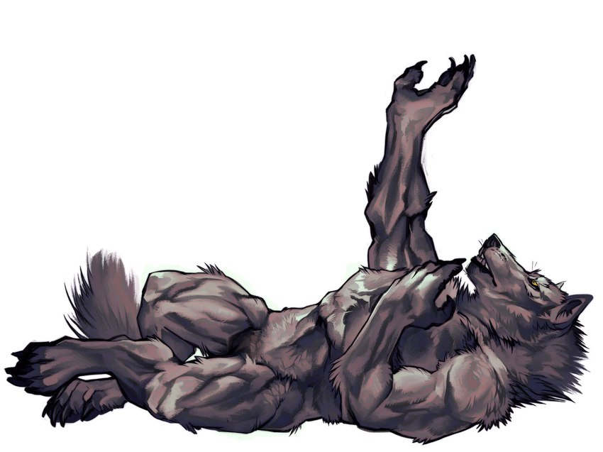 anthro balls barely_visible_genitalia claws digitigrade fluffy fur genitals grey_body grey_fur lying male muscular muscular_male on_back reaching_out simple_background solo white_background yellow_eyes nmvsolidus mythology canid canine canis mammal mythological_canine mythological_creature werecanid werecanine werecreature werewolf wolf 2021 hi_res