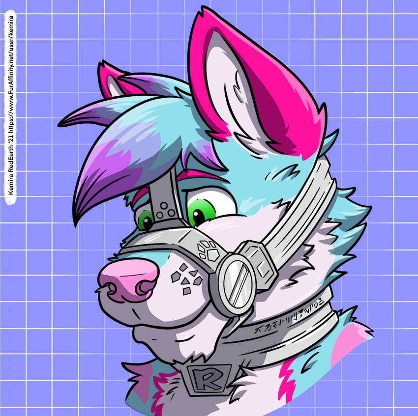 anthro blue_body blue_fur collar eyebrows fur gag gagged gradient_hair green_eyes hair looking_down male metal_collar mouth_closed pink_body pink_ears pink_eyebrows pink_fur pink_snout simple_background solo text white_body white_fur kemira rachybluefox canid canine fox mammal 2021 artist_name headshot_portrait hi_res icon portrait url