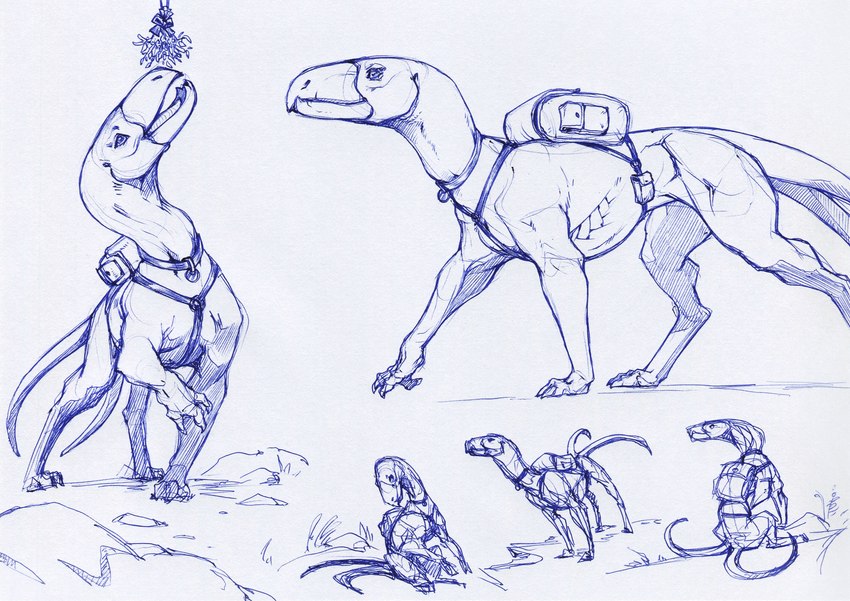 2_tails 3_toes ambiguous_gender backpack beak claws clothed clothed_feral clothing collar collar_tag feet feral harness harness_ring jagged_beak looking_away mistletoe multi_tail multiple_poses muscular muscular_feral o-ring open_beak open_mouth plant pose pouch_(clothing) raised_leg simple_background sitting sitting_on_ground solo tail teeth toes tongue toothed_beak walking white_background ket-dawnatsunset hellhound_(zdnoz) 2022 hi_res monochrome pen_(artwork) sketch sketch_page traditional_media_(artwork) female_(lore)