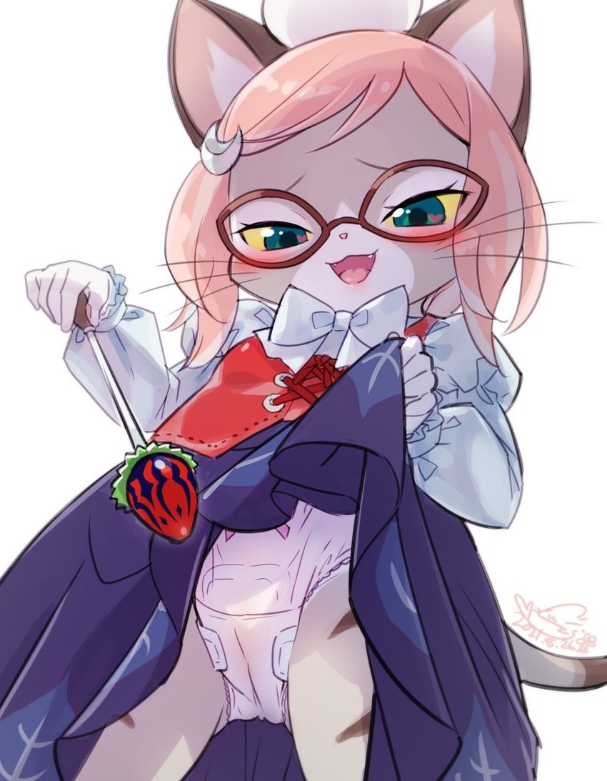 anthro blush clothed clothing eyewear female glasses looking_down menstrual_pad panties raised_clothing solo teacher underwear cotora capcom monster_hunter monster_hunter_stories monster_hunter_stories_2:_wings_of_ruin tsukino_(monster_hunter_stories) felid felyne lynian mammal hi_res