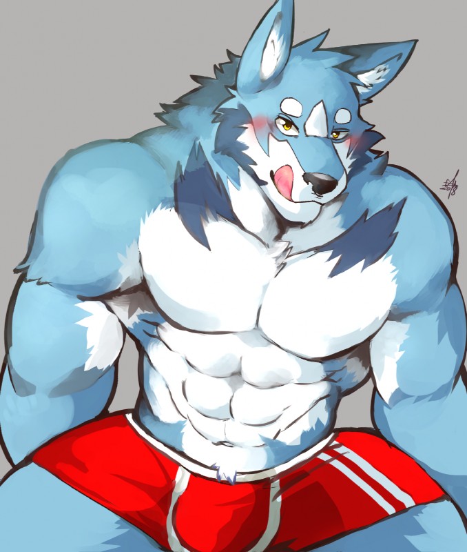 abs anthro biceps black_nose boxer_briefs clothing fur male muscular muscular_anthro muscular_male pecs simple_background solo tongue underwear ginnosuke canid canine canis mammal wolf 2018 hi_res