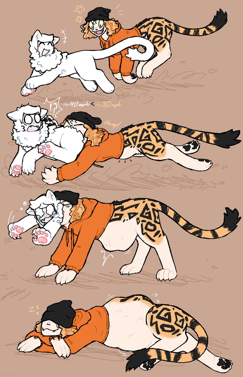 animal_print black_pawpads blush bodily_fluids butt_first cheetah_print claws clothed clothing duo feral finger_claws forced fur hair hat headgear headwear hoodie humanoid_pred male male/male markings multicolored_body multicolored_fur number open_mouth oral_vore orange_body orange_fur pawpads paws pink_pawpads scared sharp_teeth sleeping sound_effects striped_body striped_fur striped_markings striped_tail stripes tail tail_markings tears tears_of_pain teary_eyes teeth toe_claws topwear unwilling_prey vore vowelless vowelless_sound_effect white_body white_fur white_hair yellow_eyes zzz vexedcalyx mythology gregory_(vexedcalyx) cheetah felid feline humanoid mammal mythological_creature mythological_sphinx 2024 colored comic digital_drawing_(artwork) digital_media_(artwork) hi_res