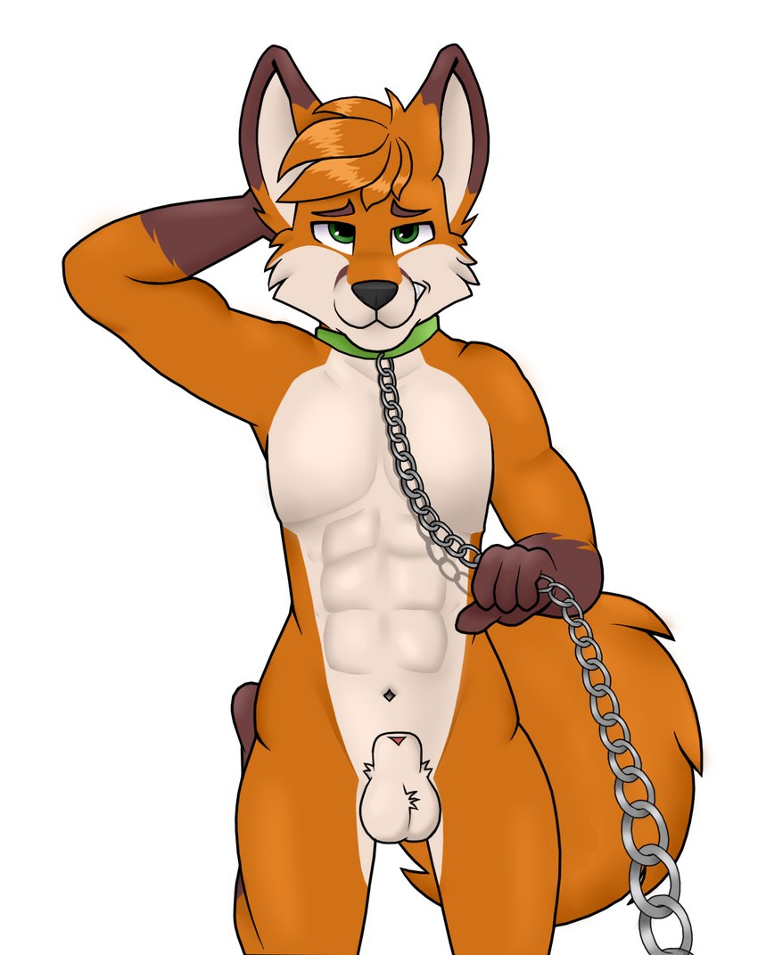 animal_genitalia animal_penis anthro chain countershading genitals leash male nude penis sheath solo jebbthefoxy canid canine fox mammal red_fox true_fox hi_res