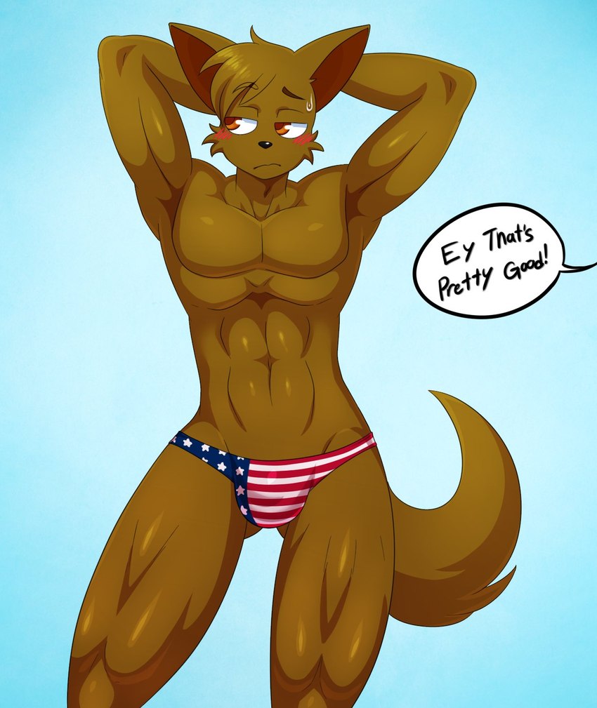 abs abstract_background american_flag anthro athletic athletic_anthro athletic_male blush bodily_fluids brown_body brown_fur brown_hair bulge clothed clothing dialogue flag flag_print flag_speedo flag_swimwear fluffy fluffy_tail fur hair hands_behind_head male muscular muscular_anthro muscular_male muscular_thighs orange_eyes patriotic_clothing patriotic_underwear patriotism pecs politics simple_background skimpy solo speedo speedo_only standing sweat sweatdrop swimwear tail text topless united_states_of_america sssonic2 nick_grant_(footfoxxy) canid canine canis domestic_dog mammal 2022 digital_drawing_(artwork) digital_media_(artwork) english_text hi_res