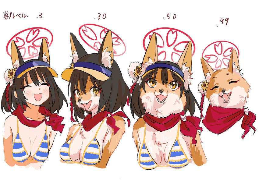 anthro anthrofied bikini bikini_top clothing eyes_closed female feral halo hat headgear headwear kemono open_mouth solo swimwear text transformation two-piece_swimsuit gomibako_(gomibako_price) blue_archive furry_scale izuna_(blue_archive) animal_humanoid canid canid_humanoid canine canine_humanoid fox fox_humanoid humanoid mammal mammal_humanoid hi_res japanese_text