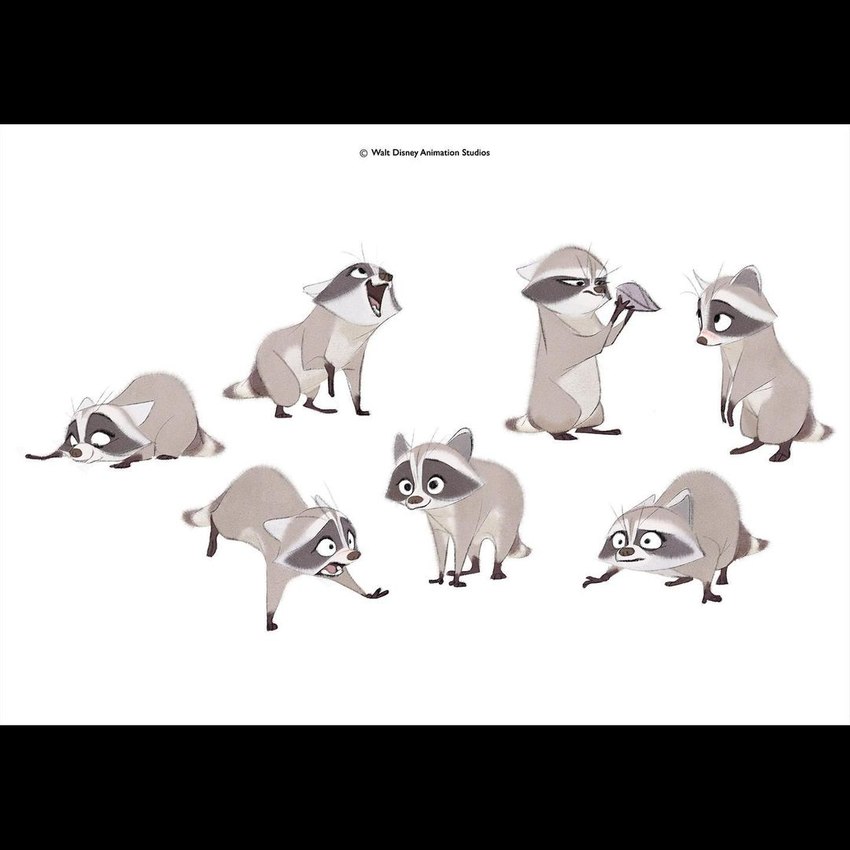 black_bars black_nose feral grey_body multiple_poses pose scar simple_background solo white_background jamwoods disney far_from_the_tree marie_(far_from_the_tree) mammal procyonid raccoon 1:1 concept_art letterbox official_art