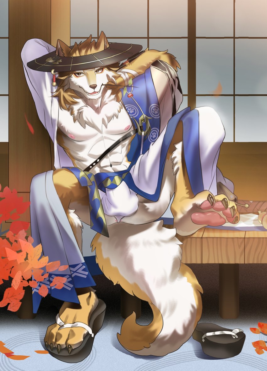 anus asian_clothing bulge clothing east_asian_clothing feet japanese japanese_clothing male muscular muscular_male paws solo tail jopika asian_mythology east_asian_mythology japanese_mythology mythology onmyoji inugami_(onmyoji) spinugami_(onmyoji) canid canine canis domestic_dog mammal shiba_inu spitz absurd_res hi_res