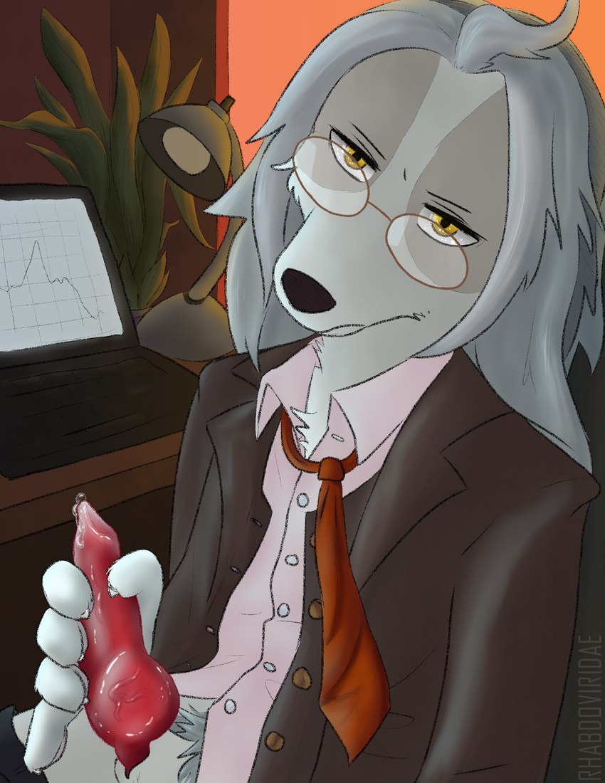 animal_genitalia animal_penis anthro canine_genitalia canine_penis clothing erection eyewear fur genitals glasses grey_body grey_fur hair long_hair male necktie penis pubes solo conditional_dnp wolftacos aggretsuko sanrio director_himuro canid canine canis domestic_dog hunting_dog mammal saluki sighthound absurd_res hi_res