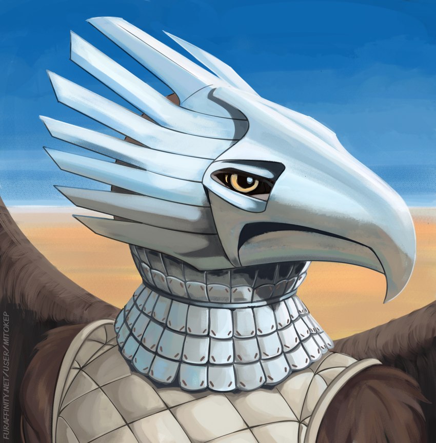 anthro armor brown_body brown_feathers clothing day feathered_wings feathers female gorget headgear helmet light outside scale_armor sky solo sunlight text topwear vest wings yellow_eyes mitokep thrall_(mitokep) accipitrid accipitriform avian bird eagle 2023 artist_name digital_media_(artwork) hi_res url