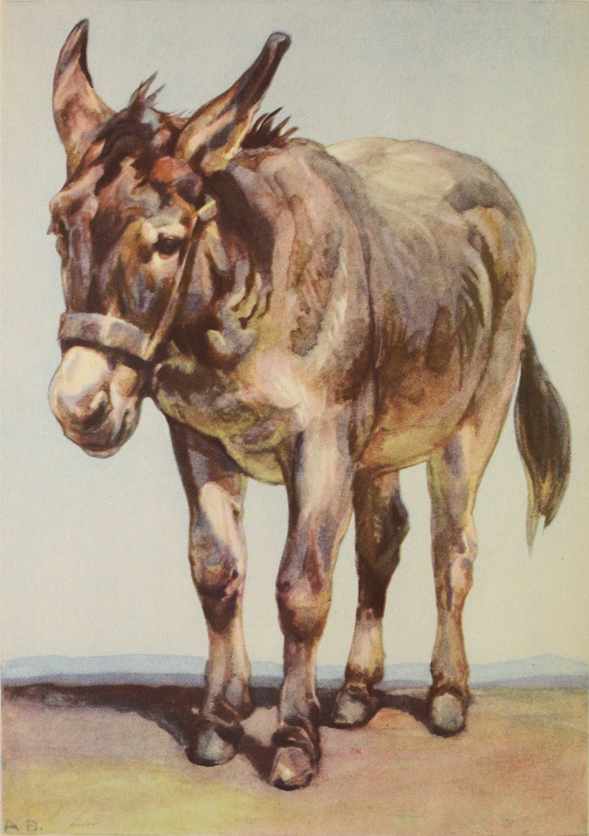 ambiguous_gender brown_body brown_fur feral fur mane outside quadruped snout solo standing tail three-quarter_view unknown_artist unknown_artist_signature asinus donkey equid equine mammal 1945 20th_century absurd_res ancient_art full-length_portrait hi_res portrait signature traditional_media_(artwork)