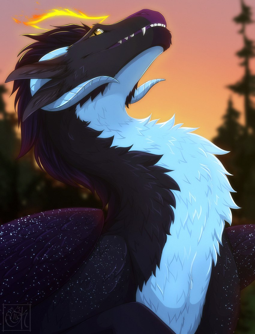 black_body black_fur blue_body blue_fur day detailed_background feathered_wings feathers feral fur horn looking_at_viewer outside quadruped sky teeth wings silvyr mythology dragon furred_dragon furred_scalie mythological_creature mythological_scalie scalie 2022 digital_media_(artwork) hi_res