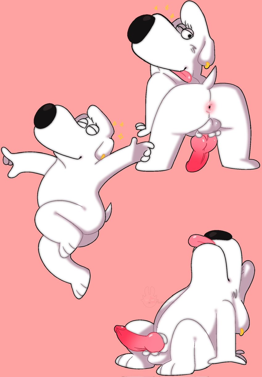 anthro anus balls butt ear_piercing erection genitals knot looking_back male one_eye_closed piercing tongue tongue_out wink hwantsarts family_guy jasper_(family_guy) canid canine canis domestic_dog mammal hi_res