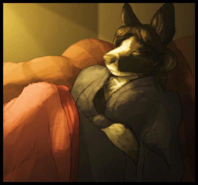 anthro bathrobe bedding black_border black_hair blanket border clothing eyes_closed female hair inside robe sleeping solo elfantastico border_collie canid canine canis collie domestic_dog herding_dog mammal pastoral_dog sheepdog