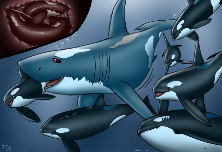 ambiguous_gender baby bubble cutaway female feral fetus flukes gills group internal markings pregnant spots spotted_body text umbilical_cord underwater vore water year young young_feral dolorcin cetacean dolphin fish hybrid mammal marine oceanic_dolphin orca shark toothed_whale 2017 artist_name comic end_page