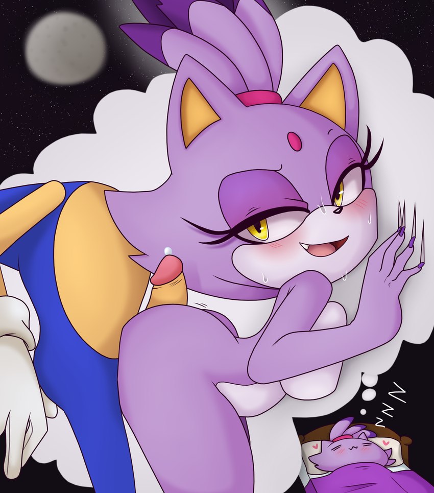 blaze the cat and sonic the hedgehog (sonic the hedgehog (series) and etc) created by es74 and tenshigarden