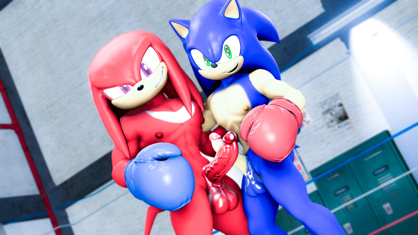 balls boxing_gloves clothing duo erection exercise fighting_ring frottage genitals gym handwear looking_at_viewer male male/male muscular muscular_male nipples penile penis penises_crossing pose sex sexercise swordfight loafsfm sega sonic_the_hedgehog_(series) knuckles_the_echidna sonic_the_hedgehog echidna eulipotyphlan hedgehog mammal monotreme 16:9 3d_(artwork) digital_media_(artwork) hi_res source_filmmaker_(artwork) widescreen