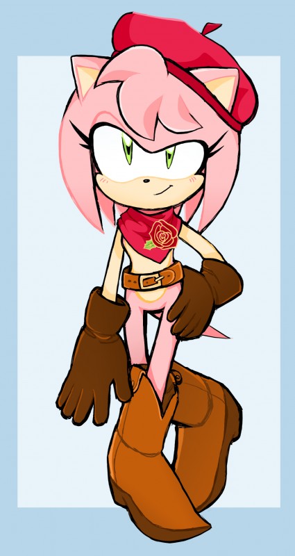 amy rose (sonic the hedgehog (series) and etc) created by hearttheglaceon