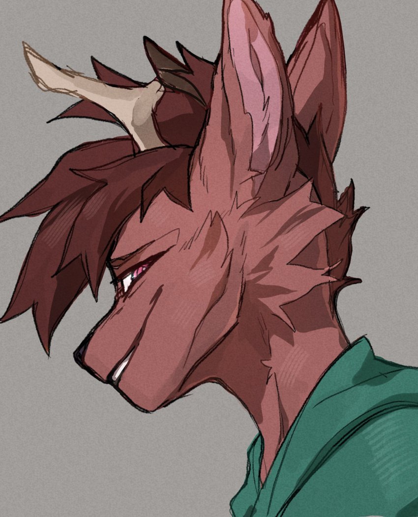 anthro antlers brown_body brown_fur brown_hair cheek_tuft clothing facial_tuft fur green_clothing green_shirt green_topwear grey_background grin hair happy horn male narrowed_eyes pink_eyes shirt simple_background smile solo topwear tuft worried li0kami scratch21 ed_(scratch21) deer mammal 2023 bust_portrait digital_drawing_(artwork) digital_media_(artwork) hi_res portrait