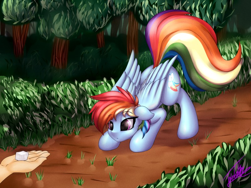 ass_up cutie_mark detailed_background disembodied_hand duo female feral forest hair multicolored_hair plant purple_eyes rainbow_hair salt_cube tree wings elzzombie friendship_is_magic hasbro my_little_pony mythology rainbow_dash_(mlp) equid equine mammal mythological_creature mythological_equine pegasus 2016 4:3 absurd_res hi_res