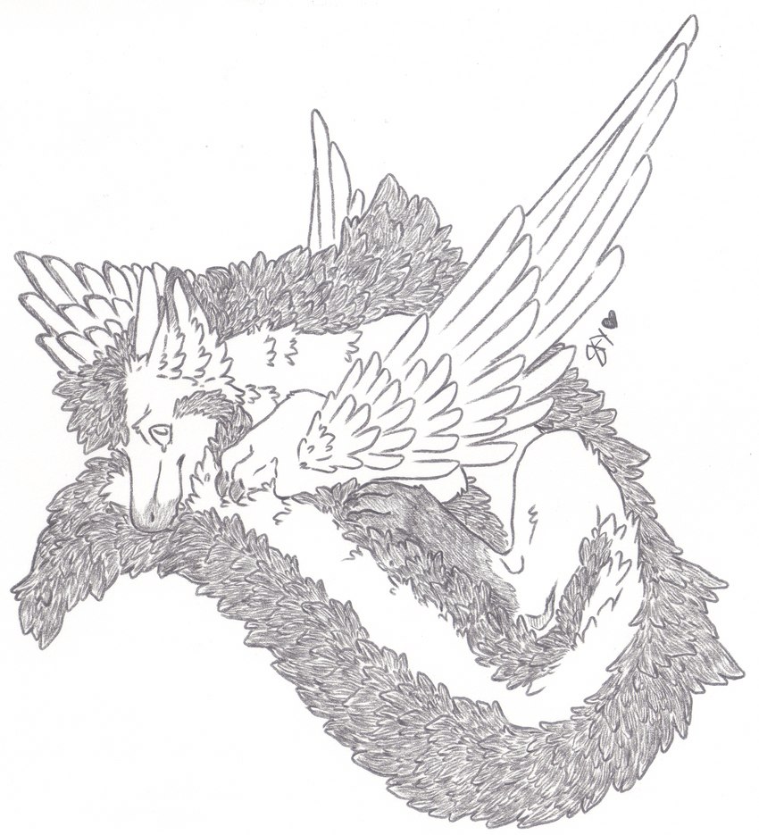 claws curled_up fangs feathers feral fluffy fur fur_ridge horn male paws solo teeth skyfifer european_mythology mythology rexhyuga dragon furred_dragon furred_scalie mythological_creature mythological_scalie scalie western_dragon wyvern absurd_res full-length_portrait graphite_(artwork) hi_res portrait traditional_media_(artwork)