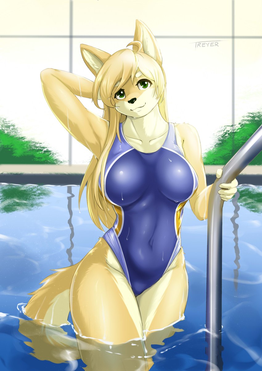 anthro big_breasts black_nose blonde_hair breasts clothing female fur hair hand_behind_head long_hair one-piece_swimsuit smile solo swimwear water wet window yellow_body yellow_fur treyer treyer_(character) canid canine canis domestic_dog mammal 2020 hi_res