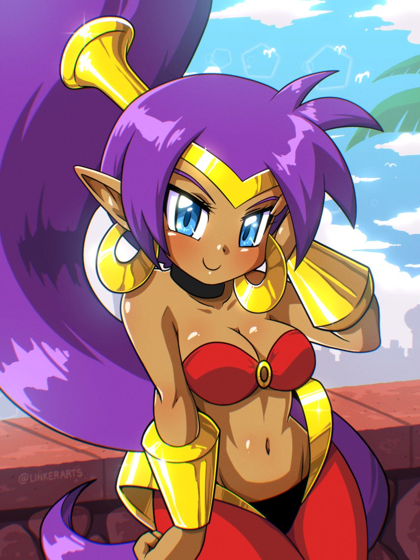 blue_eyes breasts brown_body brown_skin cleavage clothed clothing cloud day ear_piercing ear_ring female hair hoop_ear_ring humanoid_pointy_ears long_hair navel not_furry piercing pointy_ears ponytail purple_hair ring_piercing simple_background smile solo linkerluis shantae_(series) wayforward shantae genie humanoid 2022 hi_res signature