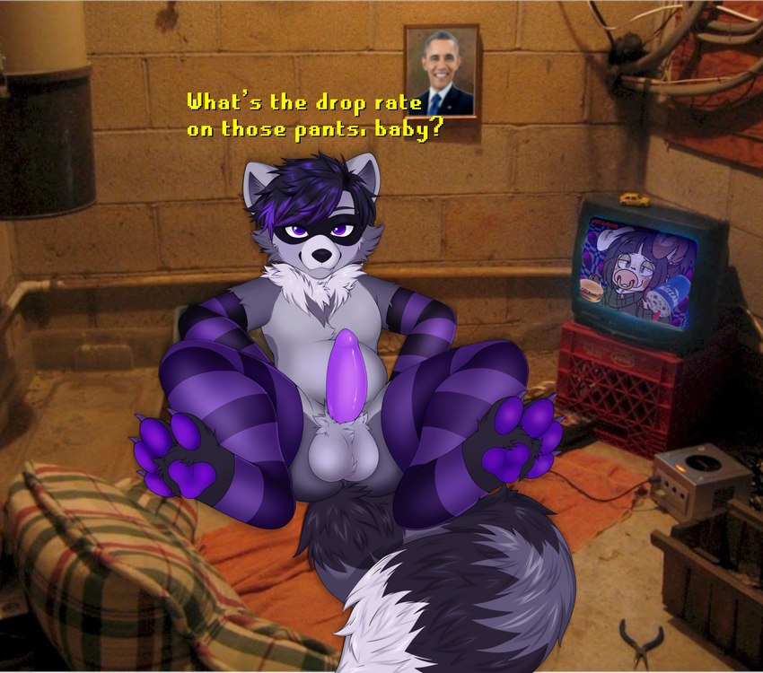 4_toes anthro balls basement bedroom_eyes burger claws clothing dialogue dirty_room electronics erection feet food footwear fur game_console genitals grey_body grey_fur hair highlights_(coloring) legwear looking_at_viewer male markings narrowed_eyes pattern_clothing pattern_footwear pattern_legwear pattern_socks pawpads penis photo_background picture_frame pillow pliers purple_body purple_eyes purple_fur purple_hair purple_pawpads purple_penis seductive socks solo striped_clothing striped_footwear striped_markings striped_socks striped_tail stripes tail tail_markings tapering_penis television text thick_thighs thigh_highs toe_claws toes tools towel toy_car pitayapunch dairy_queen gamecube nintendo runescape barack_obama panickew domestic_pig kunekune mammal procyonid raccoon suid suine sus_(pig) absurd_res english_text hi_res meme photography_(artwork)