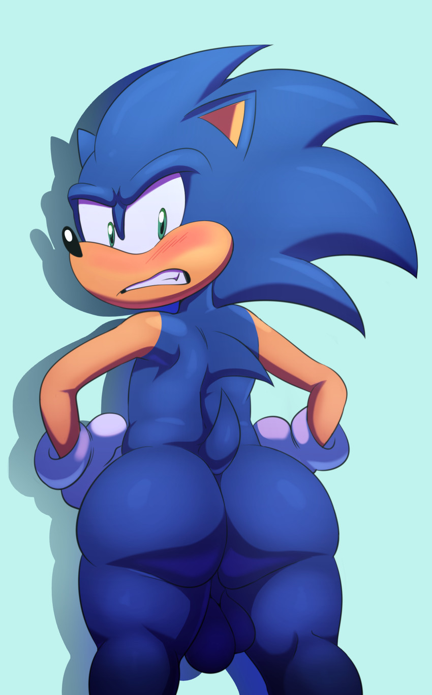 E621 sonic E621 sonic