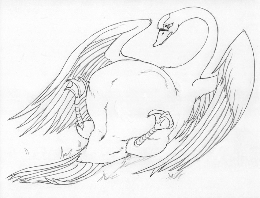 3_toes animal_genitalia avian_butt avian_feet beak belly big_belly cloaca eyelashes feathered_wings feathers feet female feral front_view frown genitals grass legs_up lying membrane_(anatomy) on_back plant pregnant pregnant_female scutes simple_background solo spread_legs spreading tail tail_feathers toes webbed_feet white_background wings leovictor the_swan_princess princess_odette anatid anseriform anserinae avian bird swan 2009 black_and_white monochrome sketch story story_in_description traditional_media_(artwork)