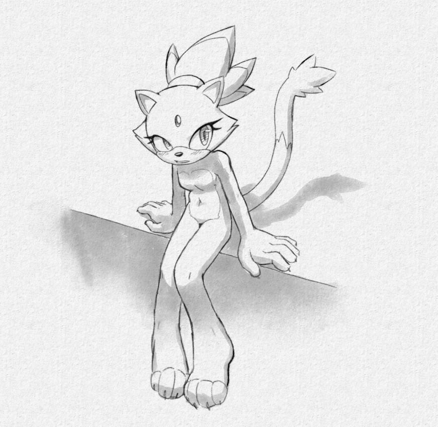 blaze the cat (sonic the hedgehog (series) and etc) created by glairedaggers