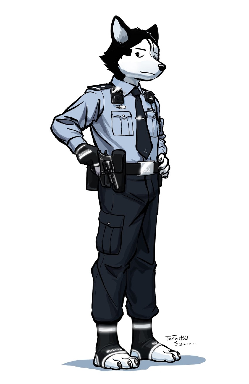 5_fingers anthro blue_clothing blue_shirt blue_topwear camera camera_on_body clothing duty_belt electronics fingerless_gloves fingers gloves gun handgun handwear male necktie pistol police police_belt police_officer police_uniform ranged_weapon shirt simple_background solo topwear uniform walkie-talkie weapon white_background tonyhsq tony_(tonyhsq) canid canine canis domestic_dog husky mammal nordic_sled_dog spitz 2022 hi_res signature