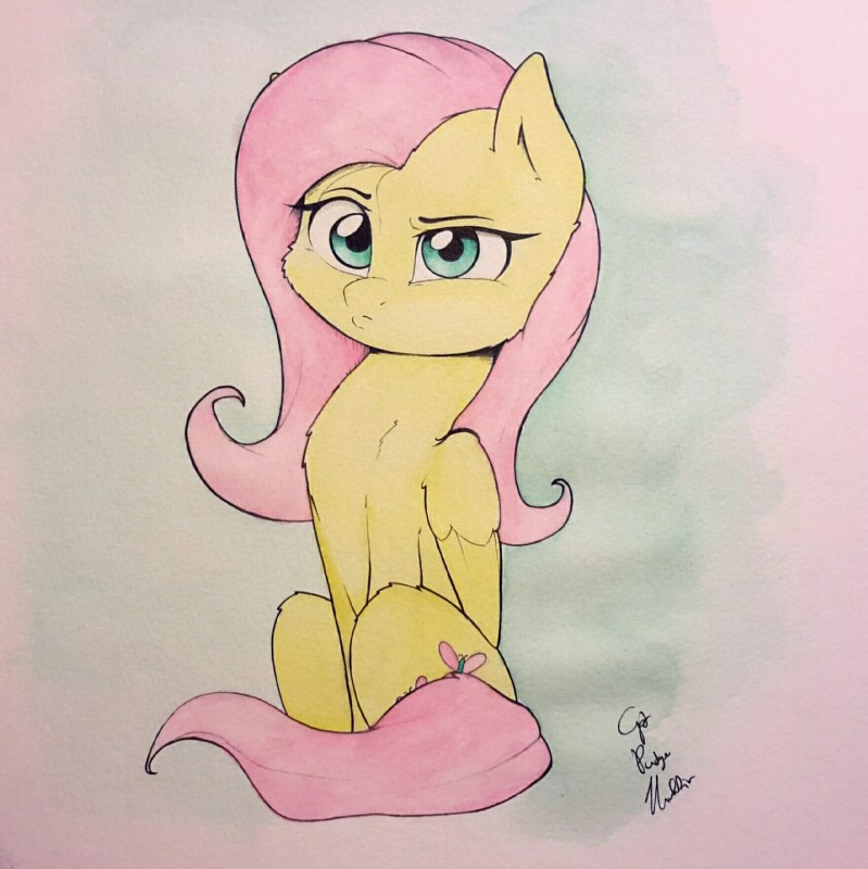 fluttershy (friendship is magic and etc) created by pudgeruffian