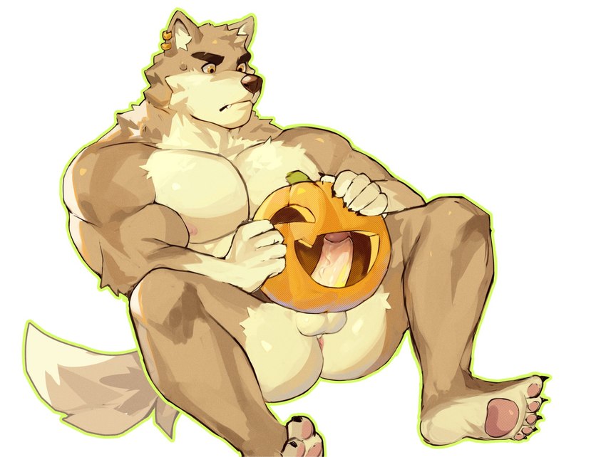 abs anthro balls barazoku bared_fangs biceps big_balls big_penis ear_piercing ear_ring genitals glans humanoid_genitalia humanoid_penis male muscular muscular_anthro muscular_male nude_anthro nude_male one_fang pecs penetrating_pumpkin penis piercing pumpkin_masturbation ring_piercing sitting sitting_on_ground solo spamz1lla vein veiny_penis spamzilla canid canine canis mammal wolf 2023 hi_res