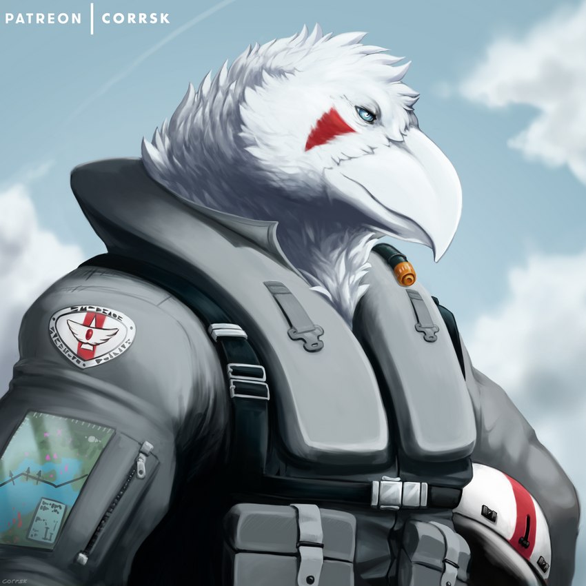 anthro beak blue_eyes clothed clothing facial_markings feathers head_markings headgear leucistic male markings pilot_suit red_markings sky solo uniform white_body white_feathers corrsk corrsk_(character) avian bird corvid corvus_(genus) oscine passerine raven 1:1 digital_media_(artwork) hi_res