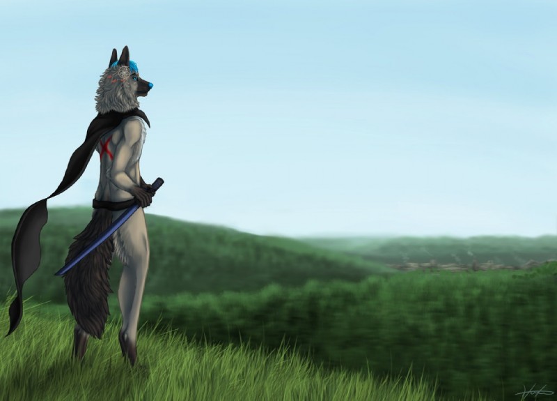 anthro detailed_background field grass male melee_weapon nature outside plant sky solo sword tree village weapon goldenphoenix101 jerome_blaze canid canine canis mammal wolf