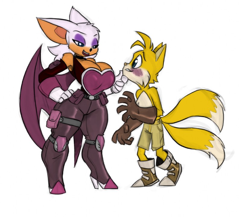 miles prower and rouge the bat (sonic the hedgehog (series) and etc) created by bigdad and fazzer12