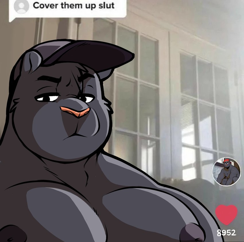 anthro areola black_body black_fur clothing fur hat headgear headwear male muscular muscular_anthro muscular_male pecs solo text fiercedeitylynx cover_them_up_slut kenny_(fiercedeitylynx) felid mammal pantherine absurd_res english_text hi_res meme